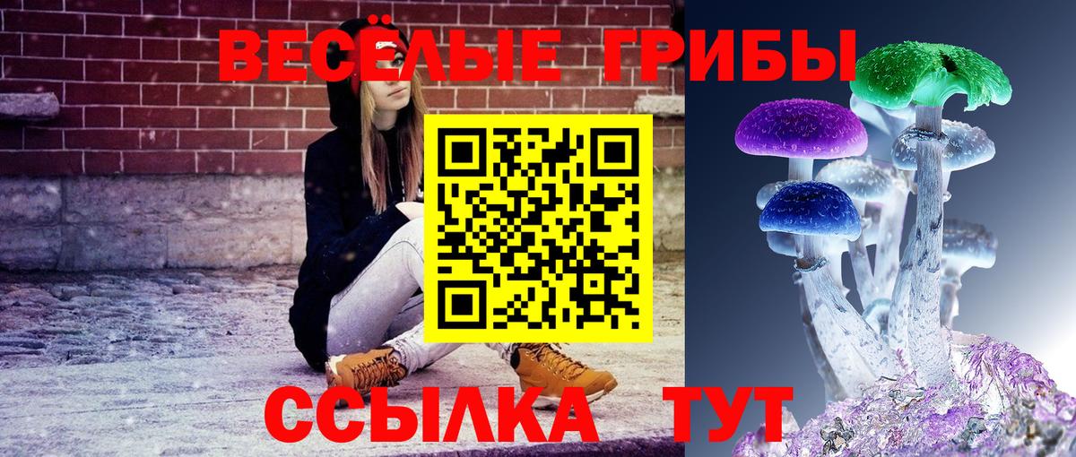 цена   Псилоцибиновые грибы MAGIC MUSHROOMS  Лесной  Вход с VPN  Галлюциногенные грибы GOLDEN TEACHER 